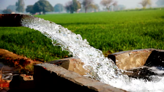 Agricultural groundwater and irrigation well service in Sri Lanka